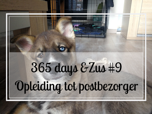365 days &Zus #9 opleiding tot postbezorger
