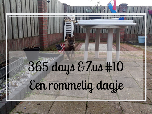365 days &Zus #10 een rommelig vrij dagje