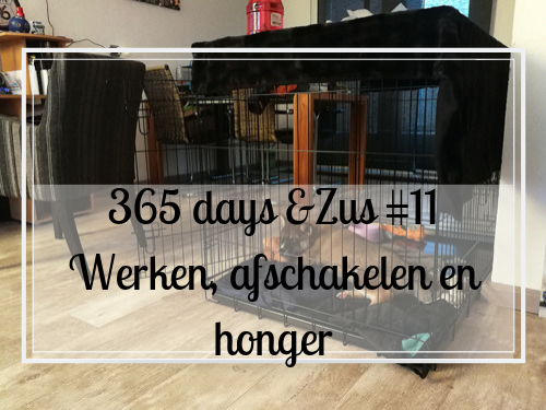 365 days &Zus #11 werken, afschakelen en late honger
