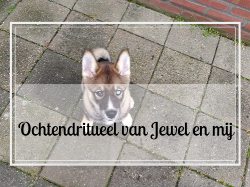 Het ochtendritueel van Jewel en mij