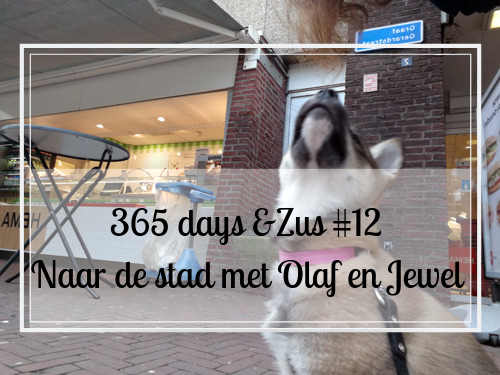 365 days &Zus #12 naar de stad met Olaf en Jewel