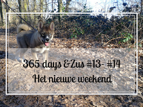 365 days &Zus #13-#14 het nieuwe weekend