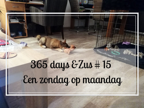 365 days &Zus #15 een zondag op maandag