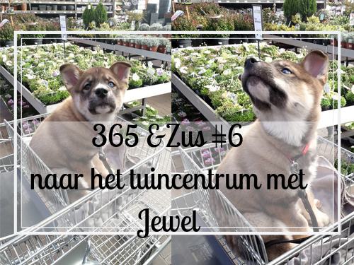 365 days &Zus #6 naar het tuincentrum met Jewel