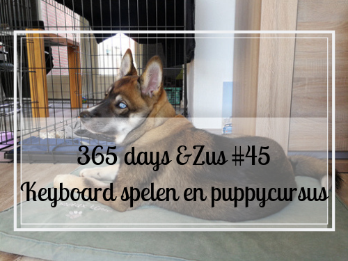 365 days &Zus #45 keyboard spelen en puppycursus