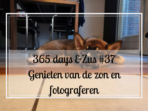 fotograferen