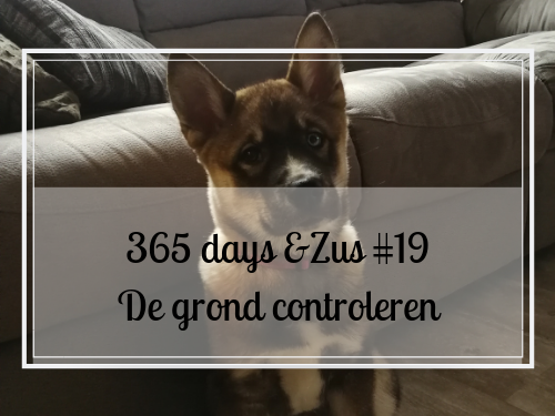 365 days &Zus #19 de grond controleren