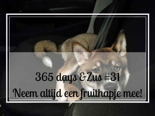 365 days &Zus #31 neem altijd een fruithapje mee!