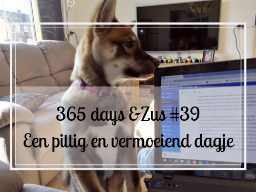 365 days &Zus #39 een pittig en vermoeiend dagje
