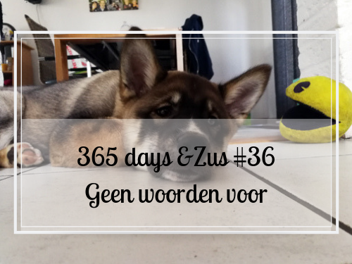 woorden