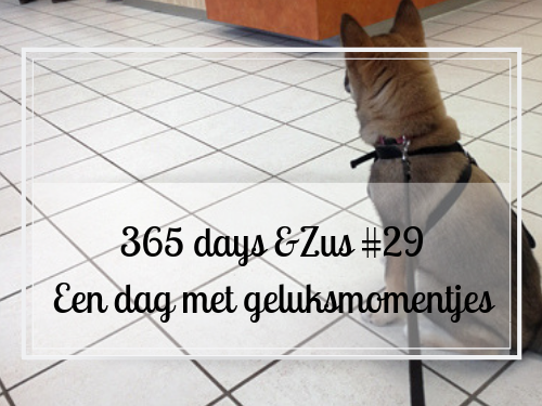 365 days &Zus #29 Een dag met geluksmomentjes