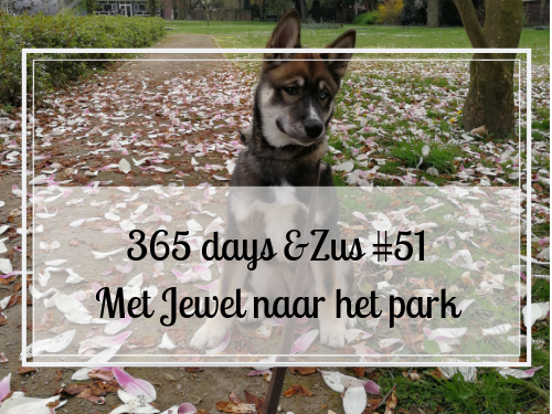 Park