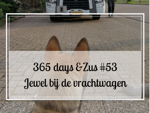 Vrachtwagen