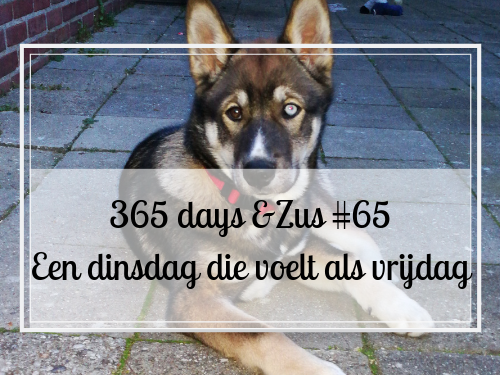dinsdag