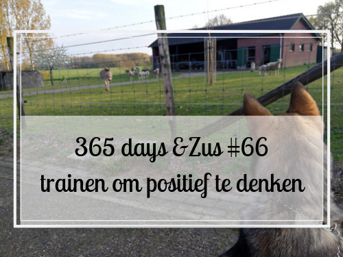 positief