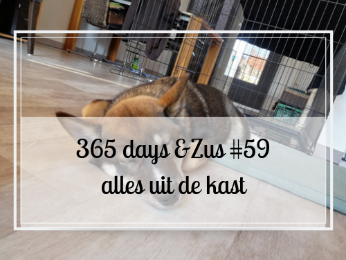 365 days &Zus #59 alles uit de kast
