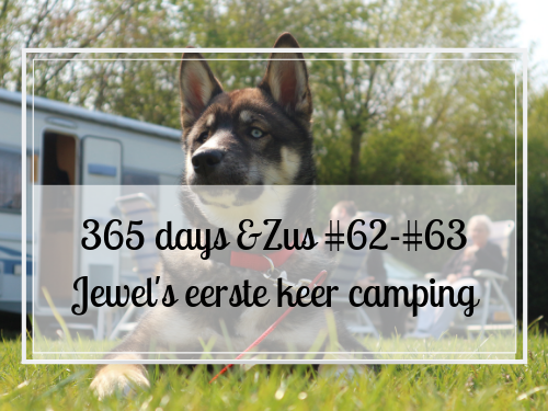 365 days &Zus #62-#63 Jewel’s eerste keer camping