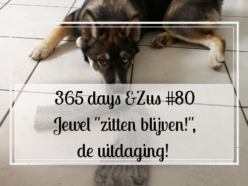 365 days &Zus #80 Jewel “zitten blijven!”, de uitdaging!