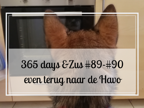 havo