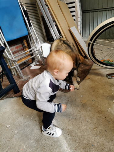 reserve fiets