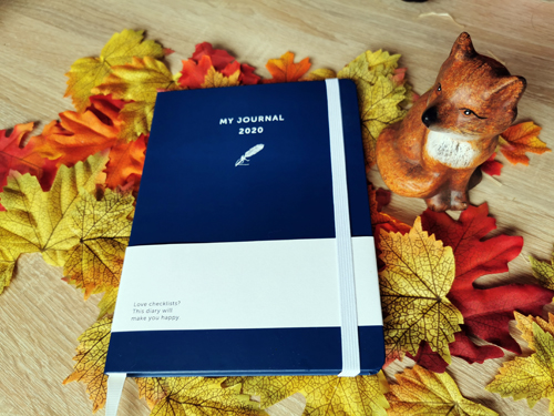 my journal 2020