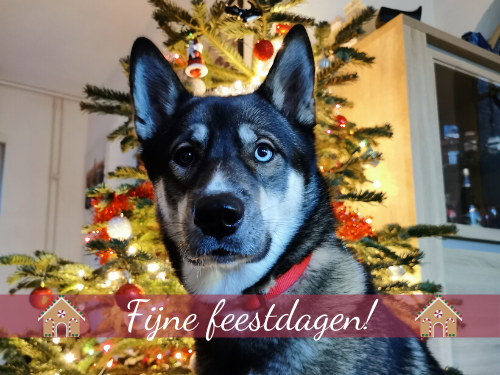 kerstdag