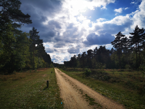 &Zus update #41 achter de wolken schijnt de zon