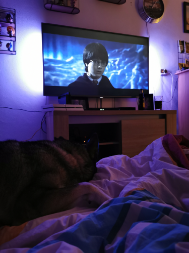 &Zus update #42 een Harry Potter filmavond en een drukke week