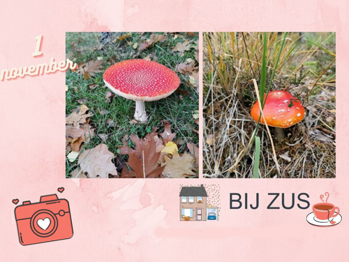huiselijke zondag